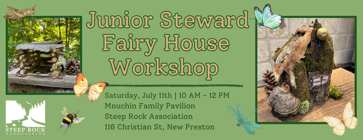 Fairy House Workshop